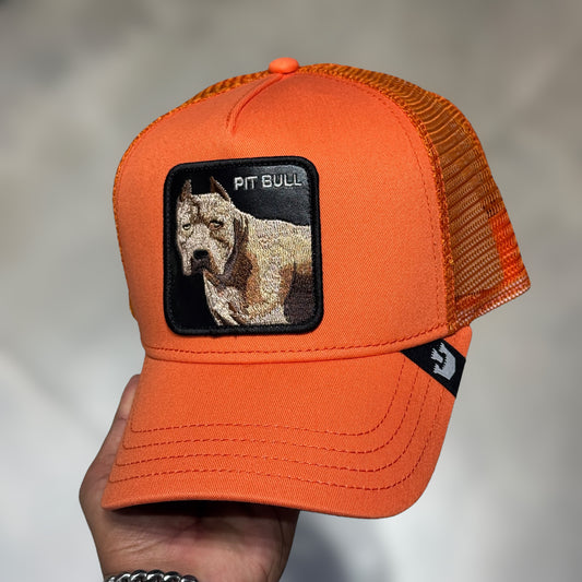 GOORIN BROS PITBULL ORANGE