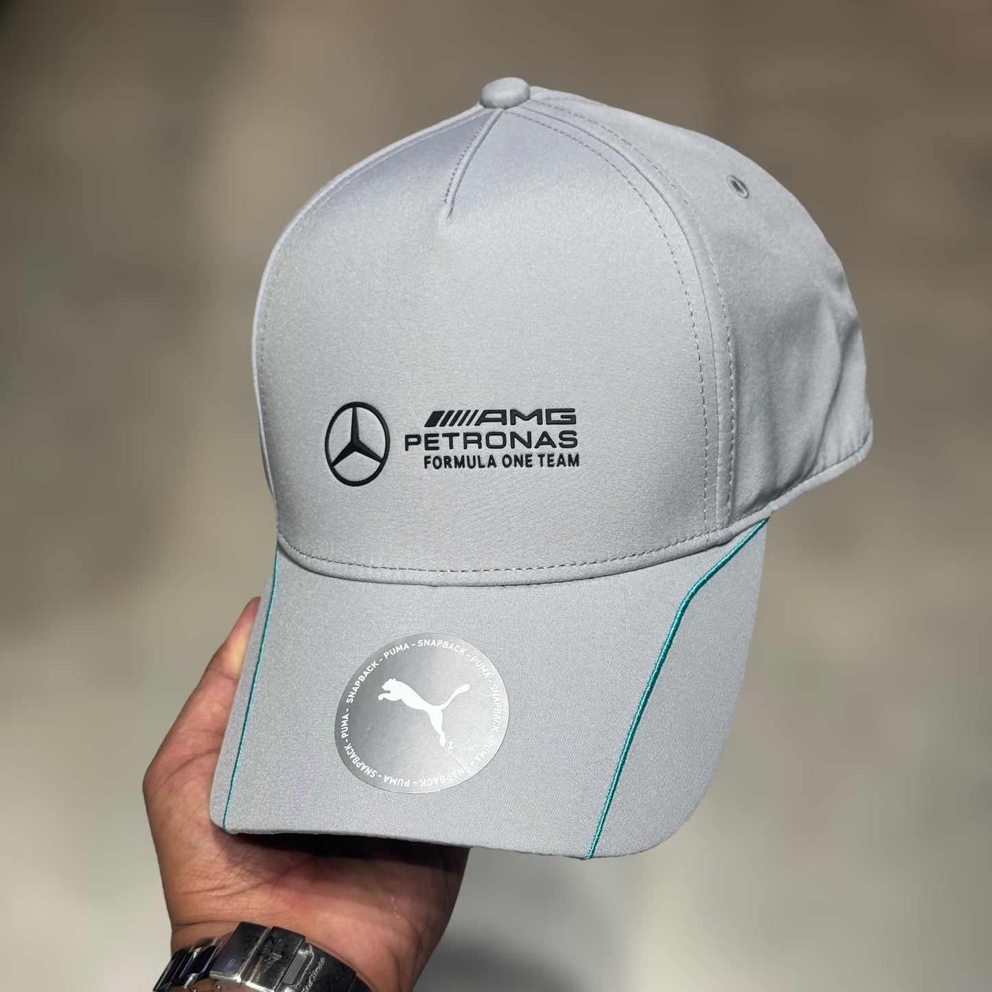 MERCEDES BENZ GRIS PUMA