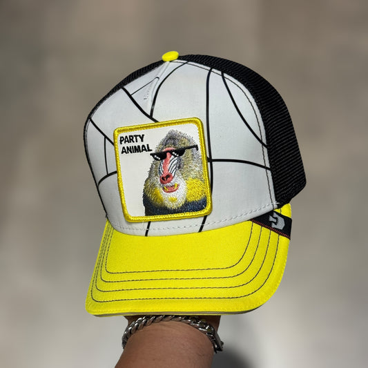 GOORIN BROS PARTY ANIMAL CAMBIA DE COLOR CON EL SOL