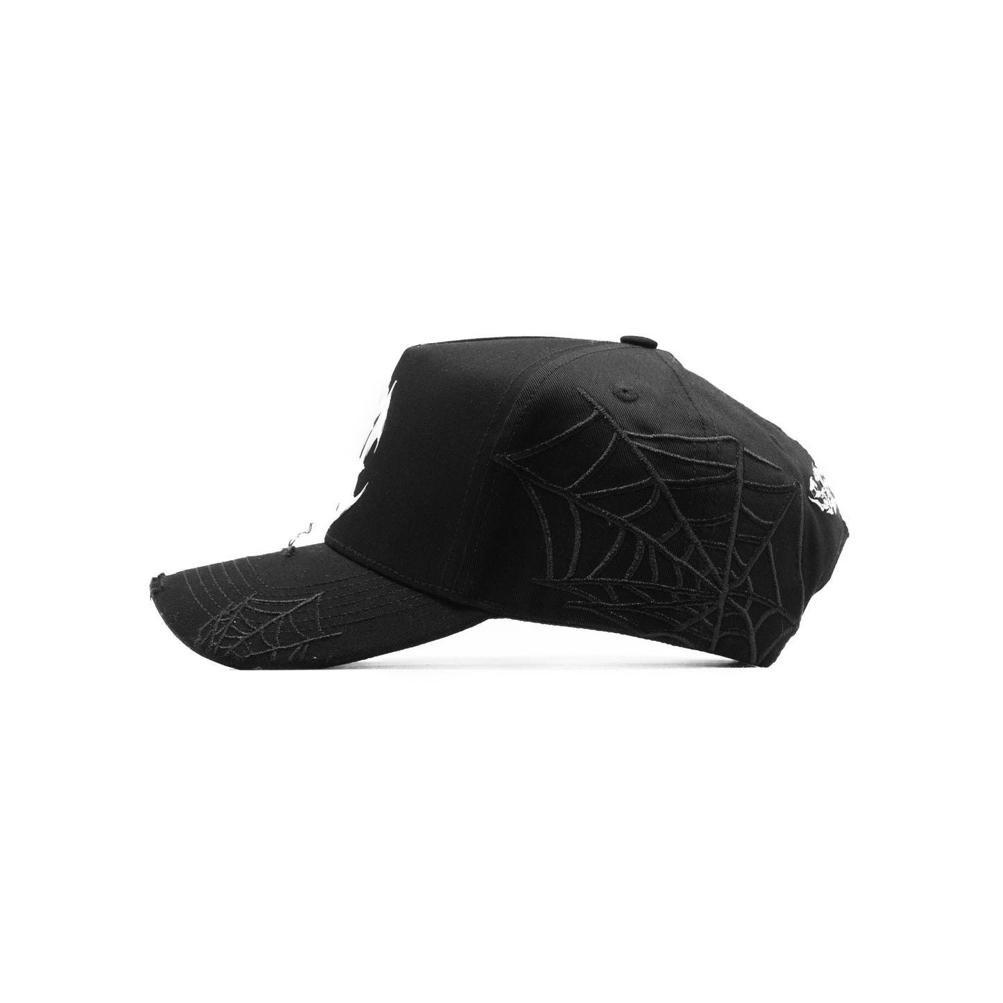 BELICA CASHED OUT NY SOIDERWEB BLACK