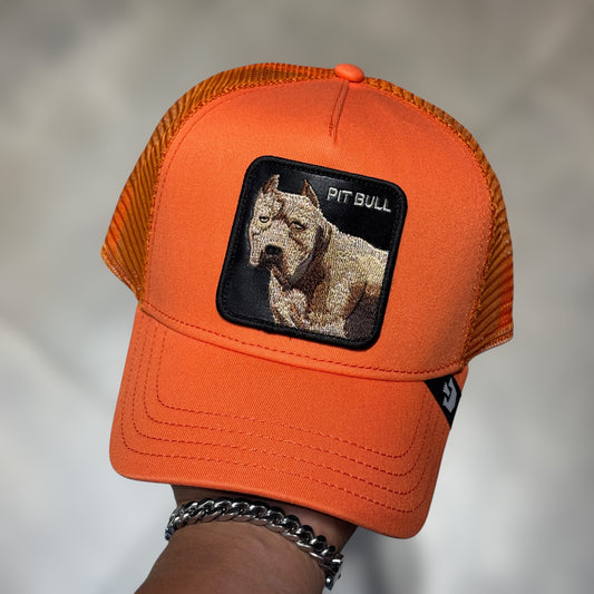 GOORIN BROS PITBULL ORANGE