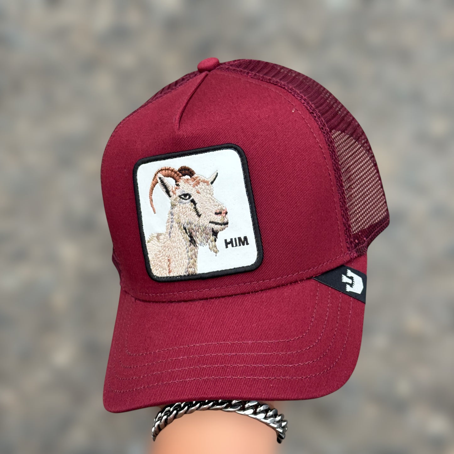 GOORIN BROS HIM GOAT
