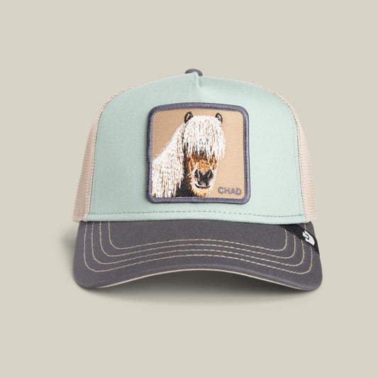 GOORIN BROS CHAD BICOLOR