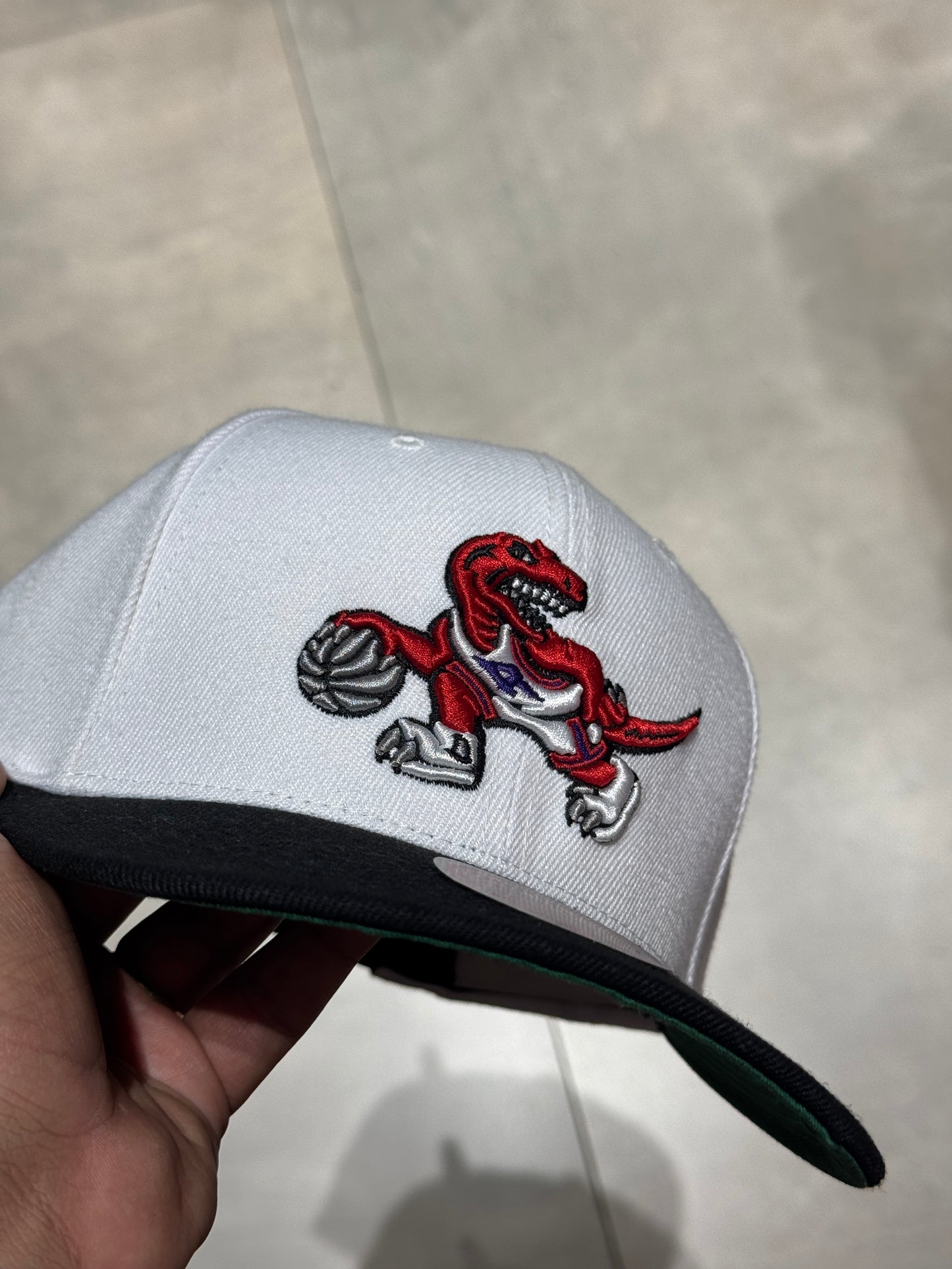 TORONTO RAPTORS MITCHELL&NESS