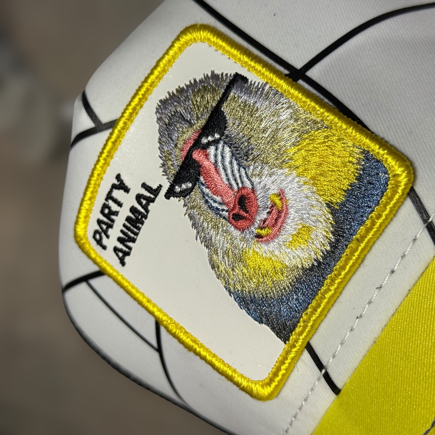 GOORIN BROS PARTY ANIMAL CAMBIA DE COLOR CON EL SOL