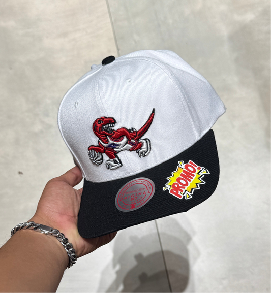 TORONTO RAPTORS MITCHELL&NESS