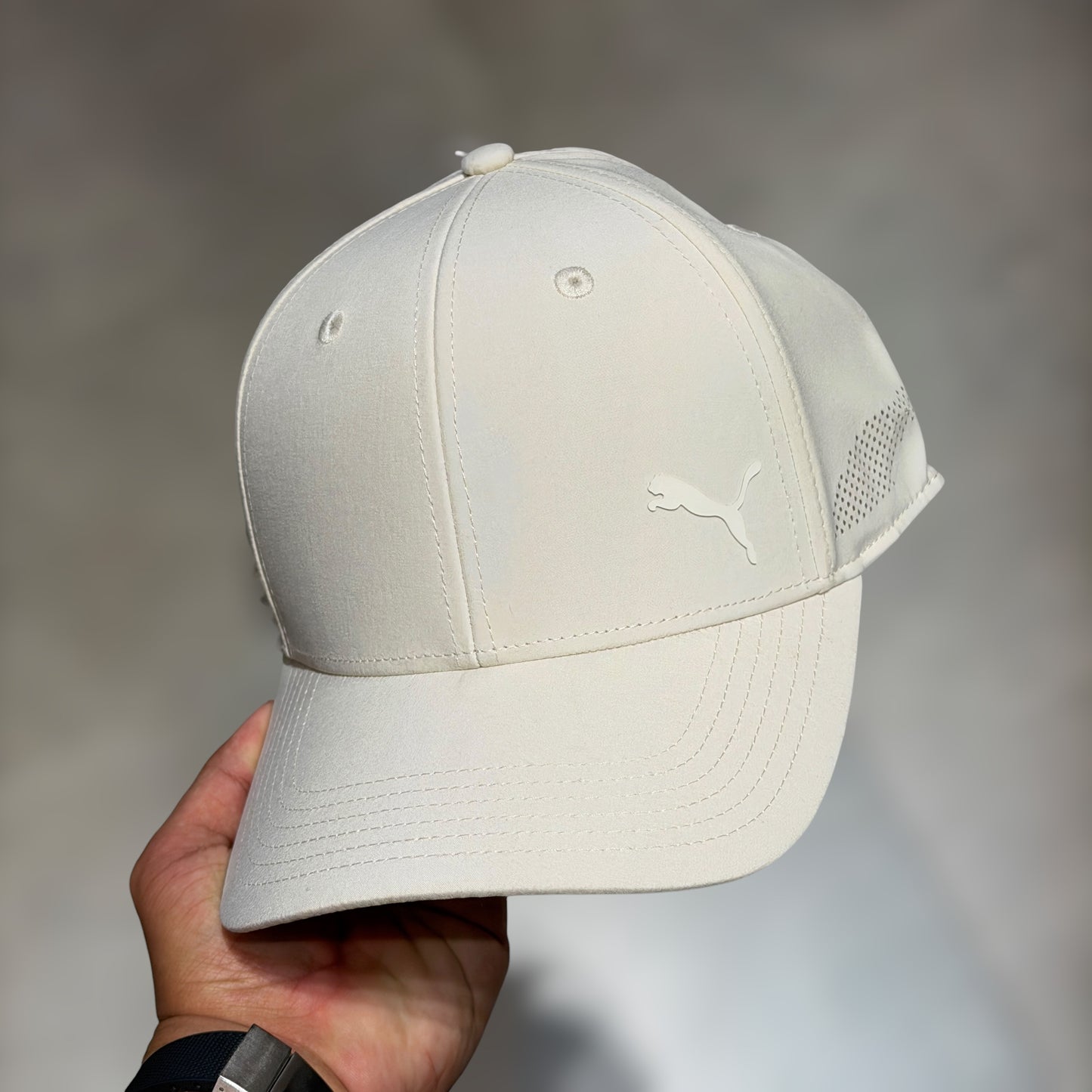 Puma beige