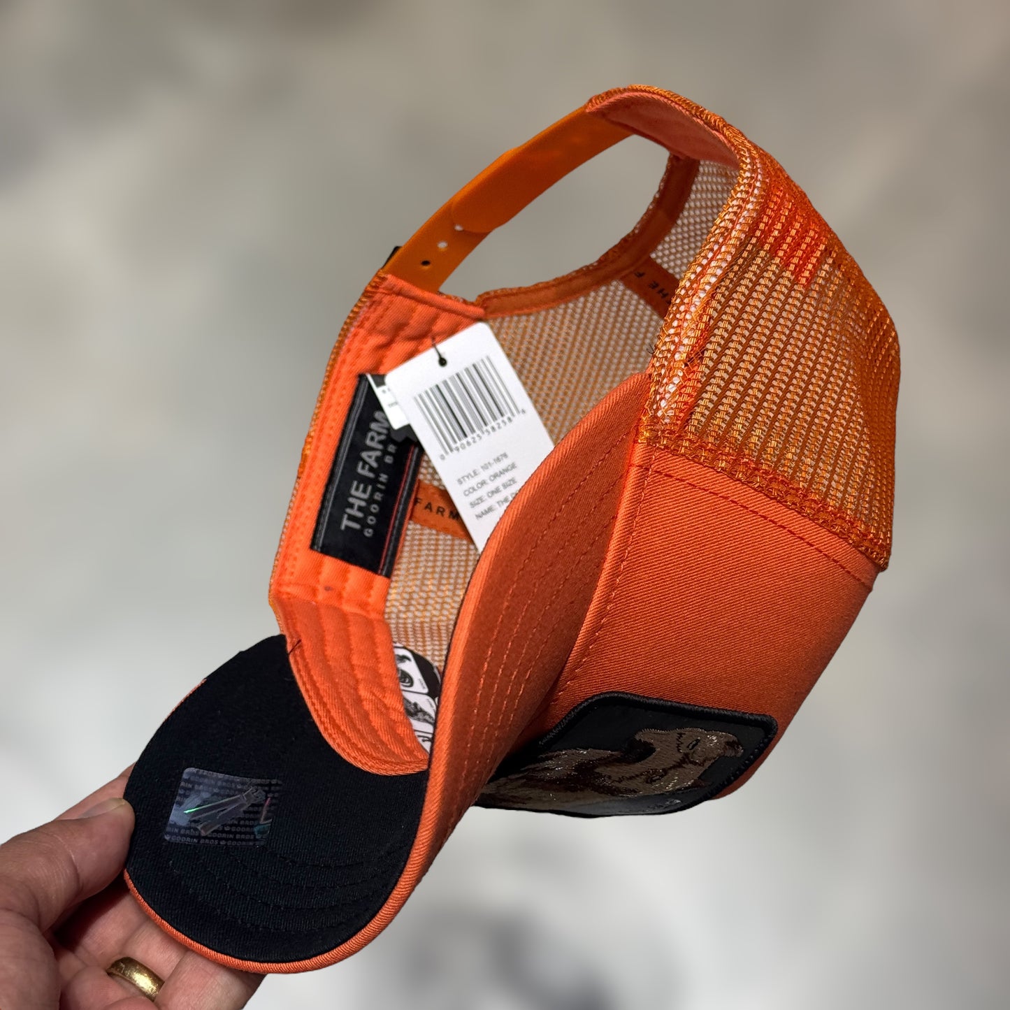 GOORIN BROS PITBULL ORANGE