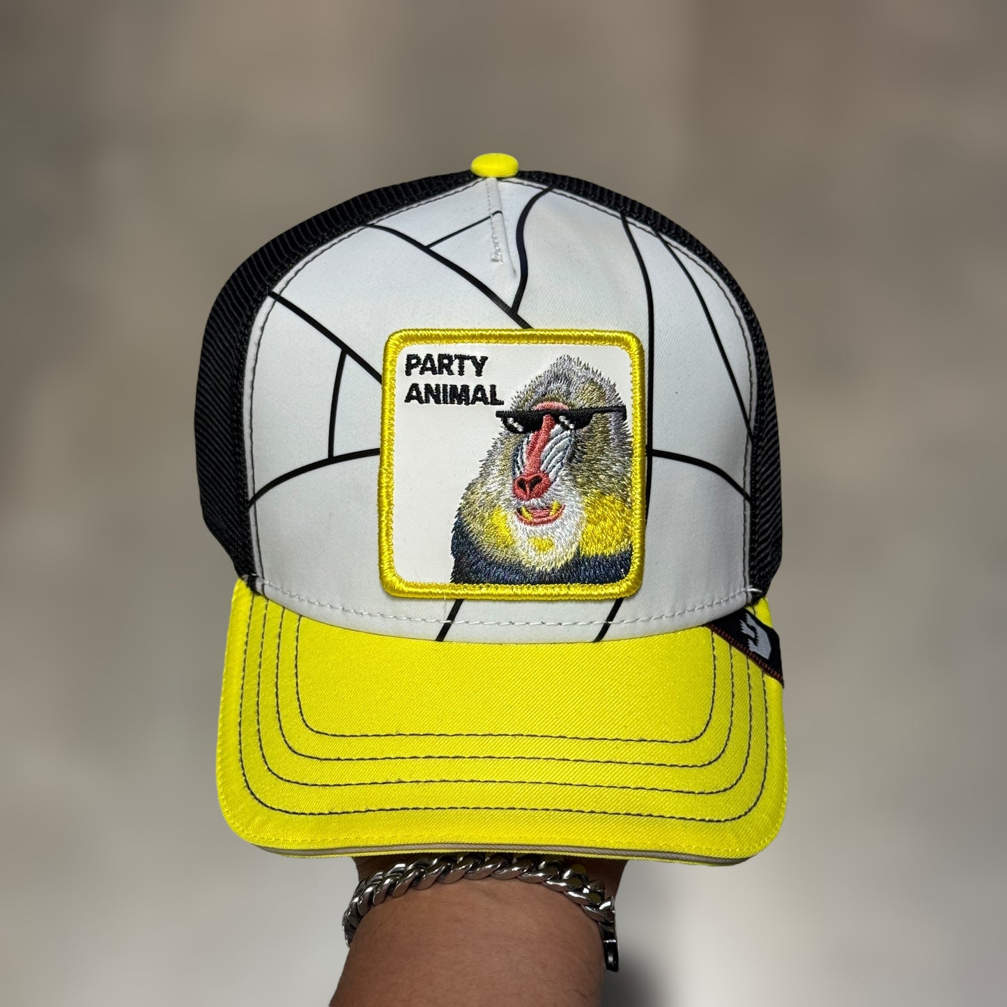 GOORIN BROS PARTY ANIMAL CAMBIA DE COLOR CON EL SOL