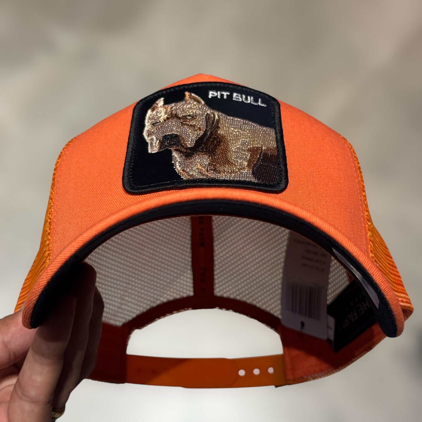 GOORIN BROS PITBULL ORANGE