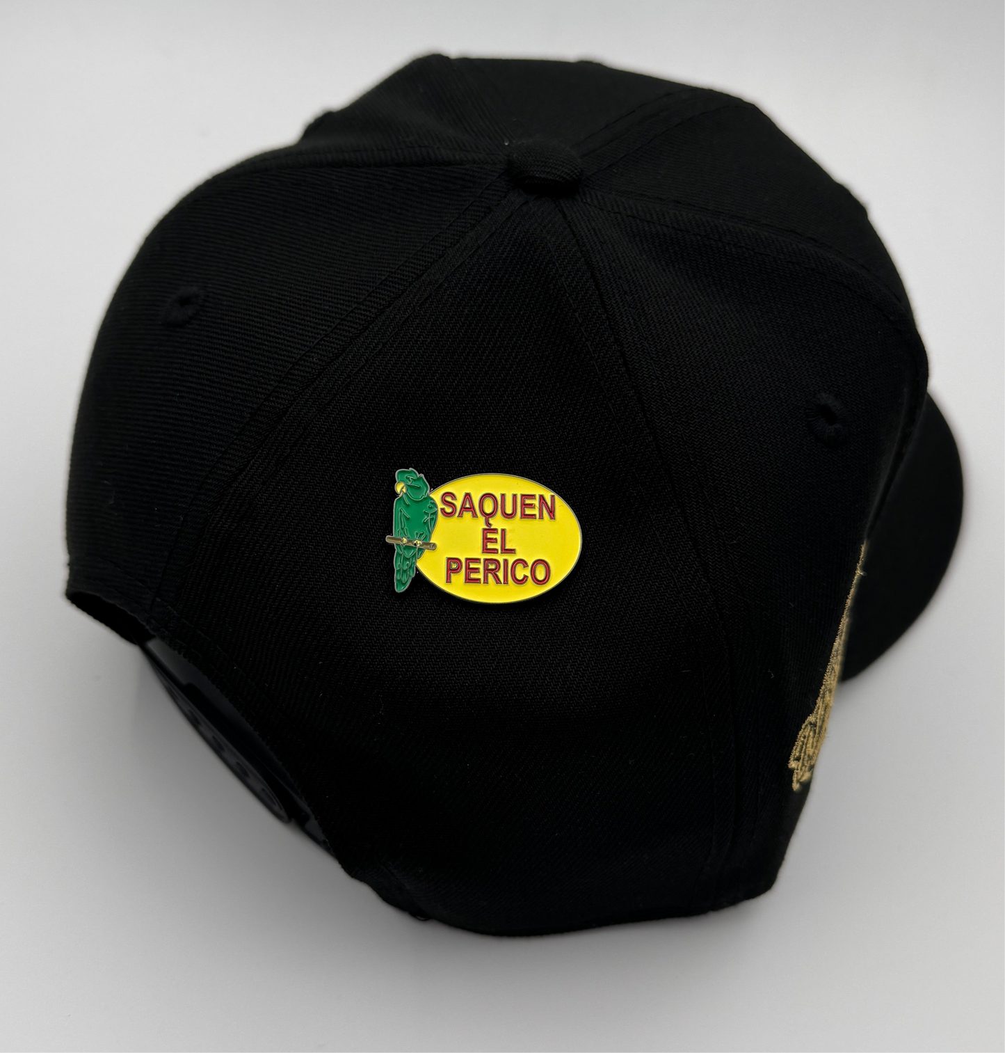 PIN SAQUEN EL PERICO 🦜