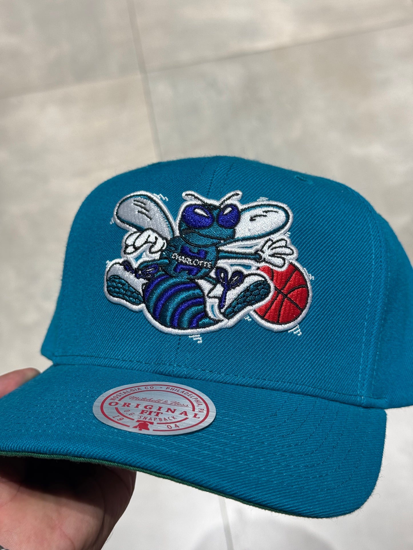 CHARLOTTE HORNETS