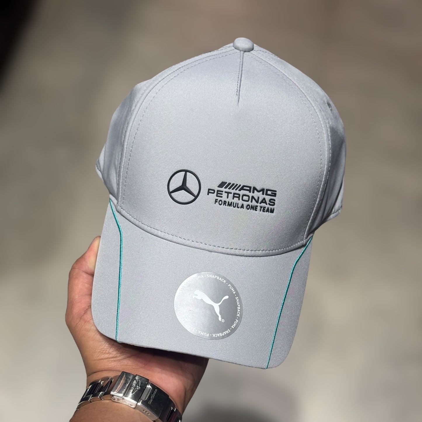MERCEDES BENZ GRIS PUMA