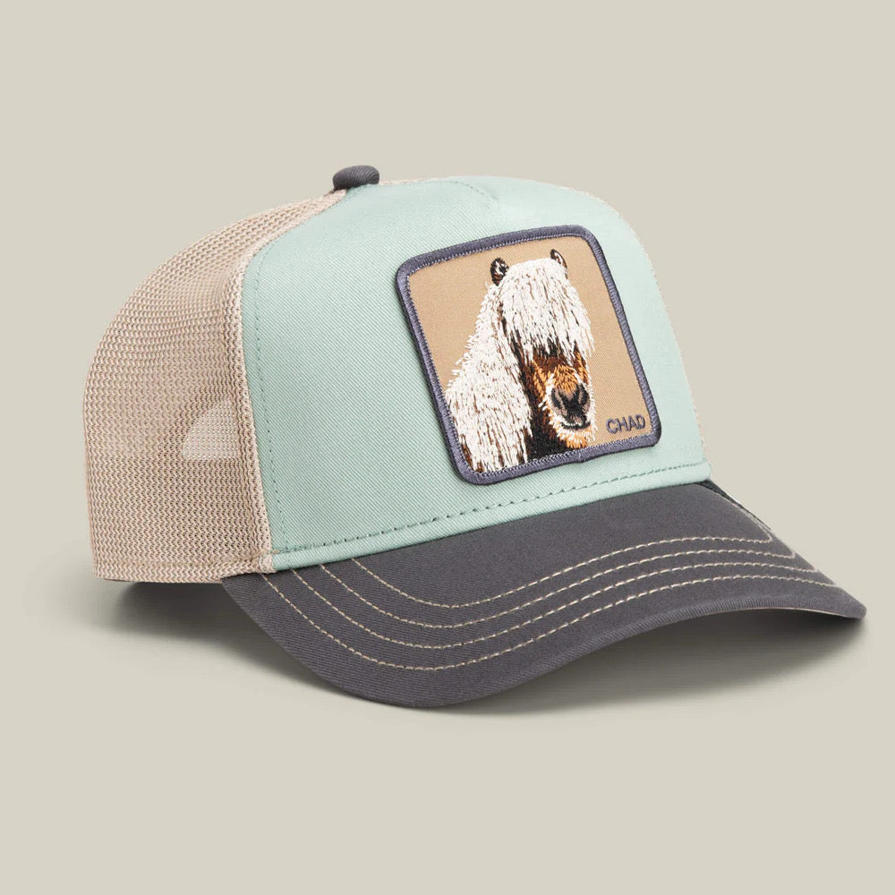 GOORIN BROS CHAD BICOLOR