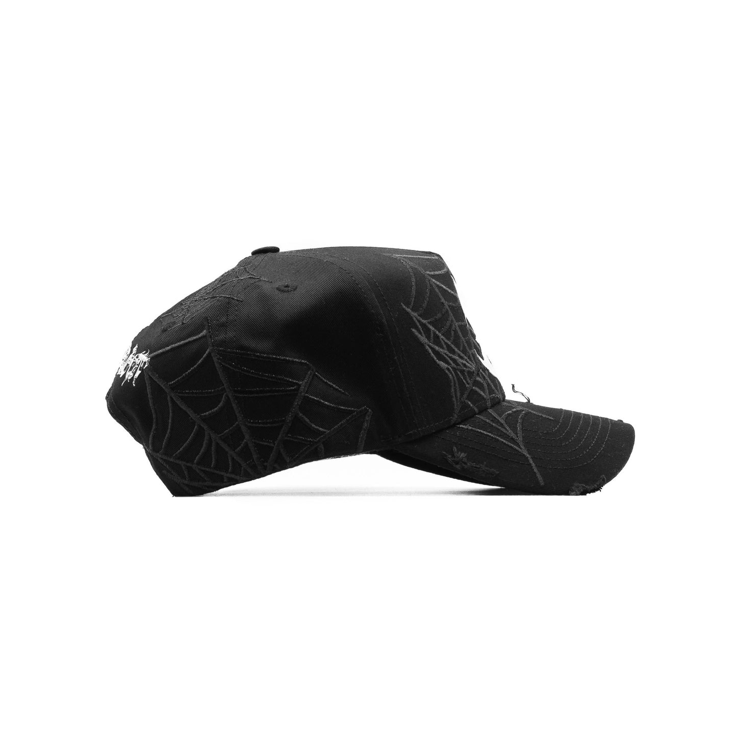 BELICA CASHED OUT NY SOIDERWEB BLACK