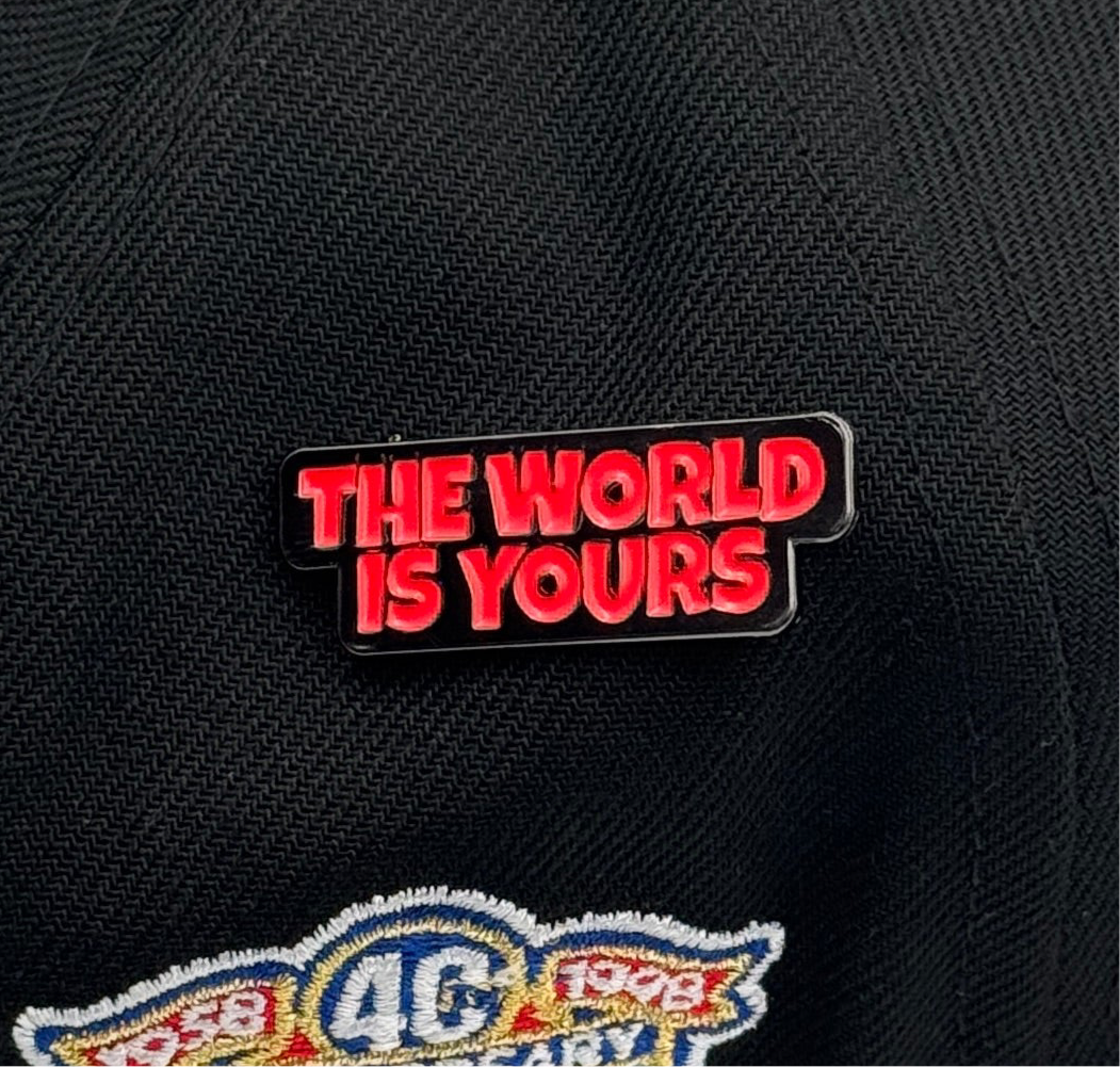 PIN THE WORLD IS YOURS