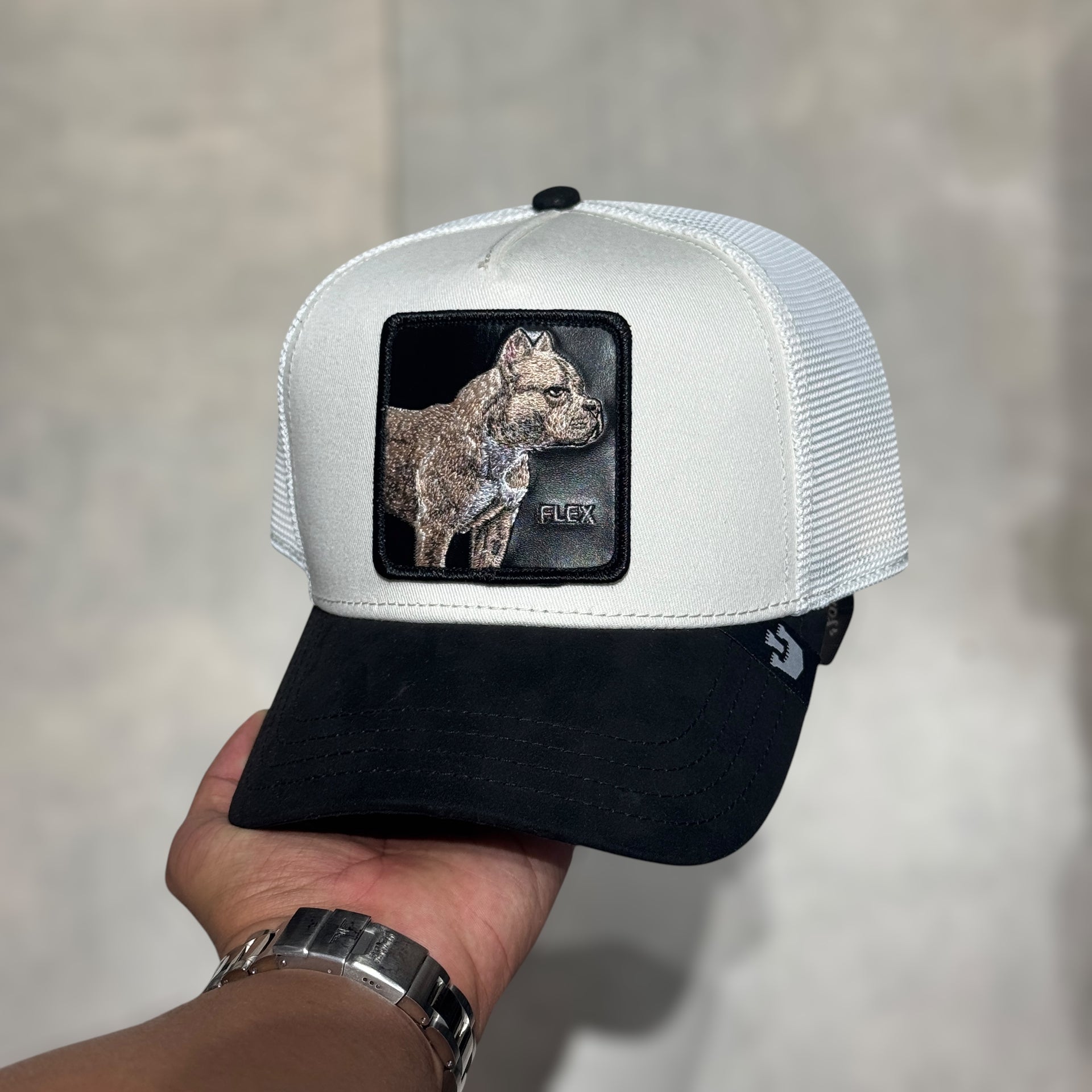 GOORIN BROS FLEX BEIGE BLACK PITBULL – Foxer